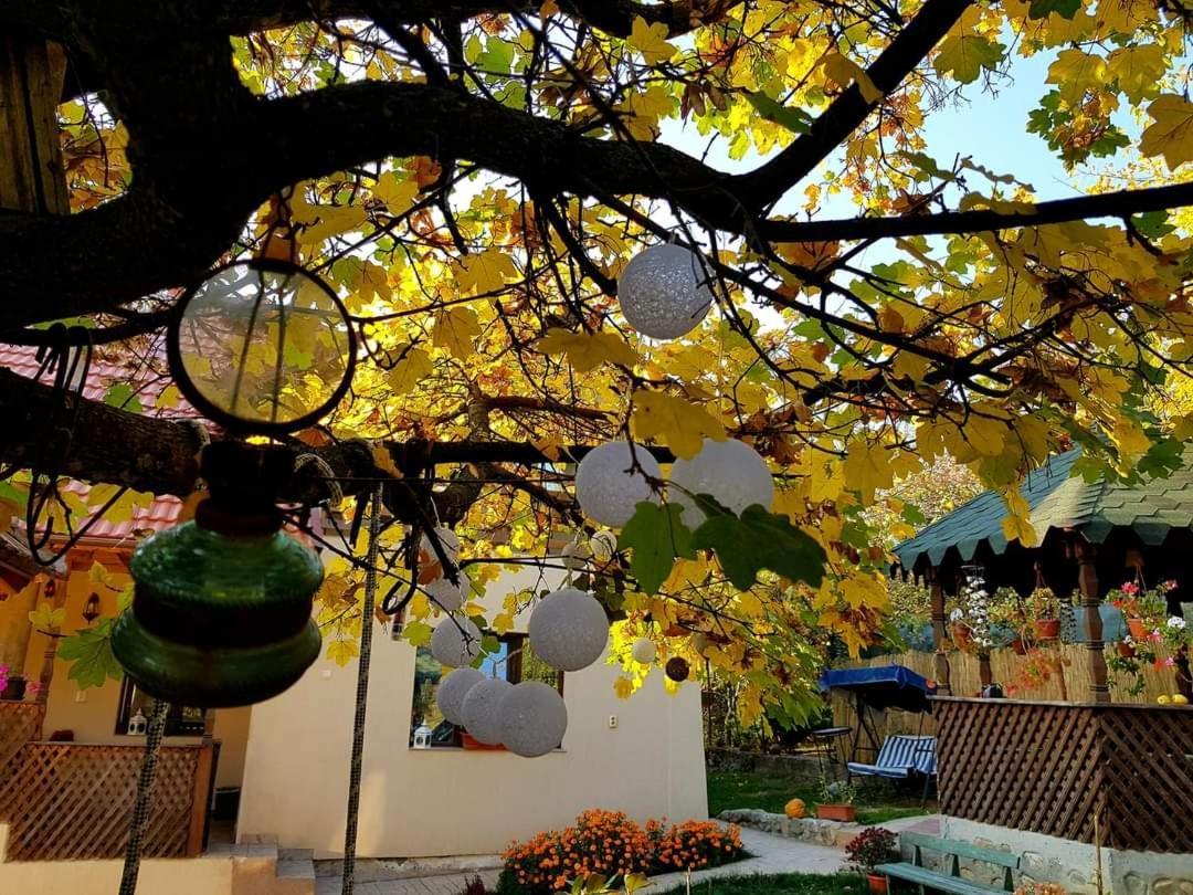 Casa Smeilor Horezu Εξωτερικό φωτογραφία