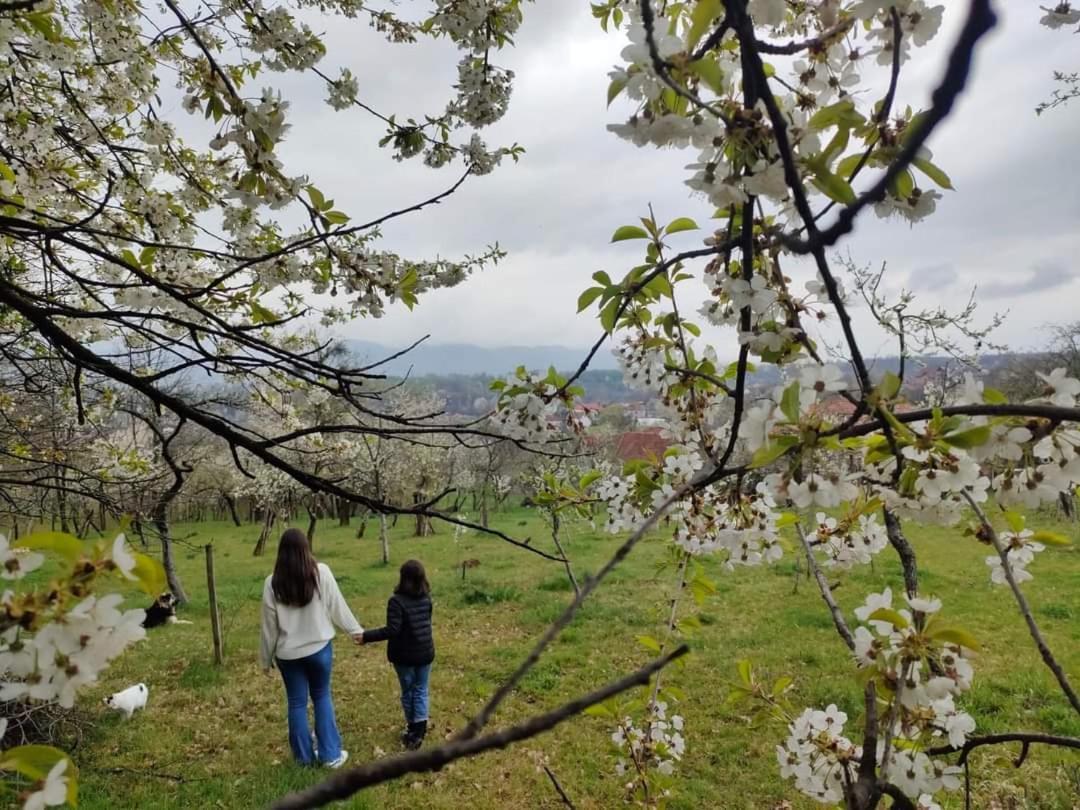 Casa Smeilor Horezu Εξωτερικό φωτογραφία