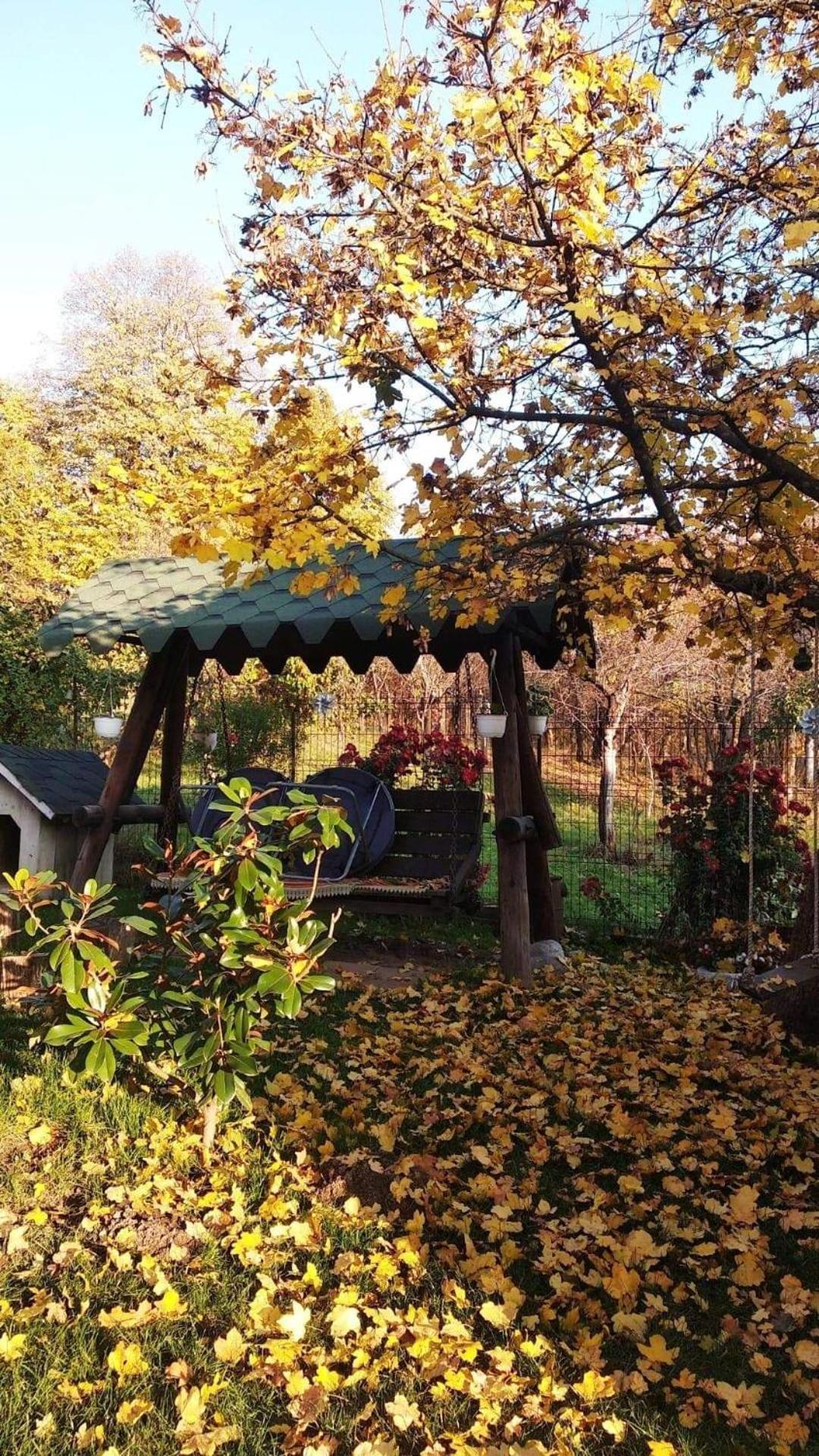 Casa Smeilor Horezu Εξωτερικό φωτογραφία