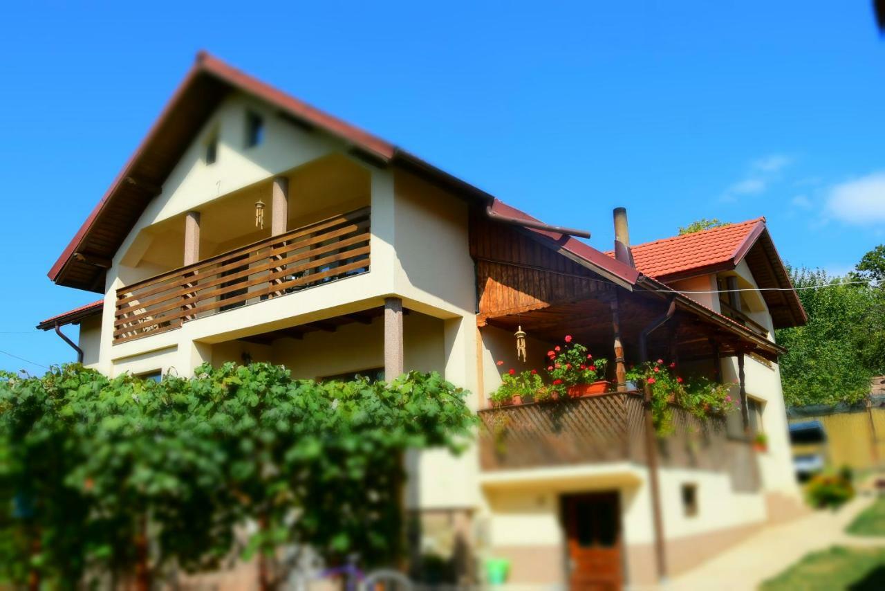 Casa Smeilor Horezu Εξωτερικό φωτογραφία
