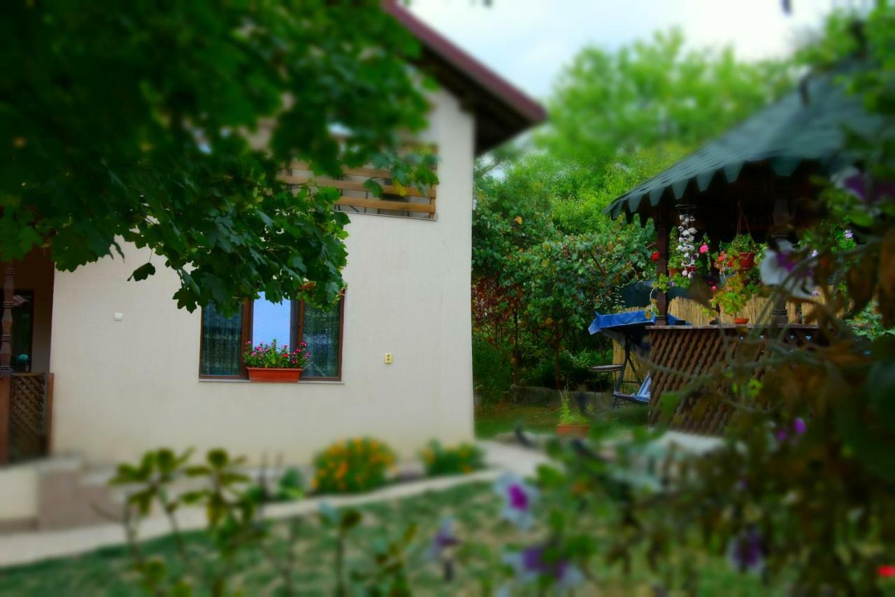 Casa Smeilor Horezu Εξωτερικό φωτογραφία