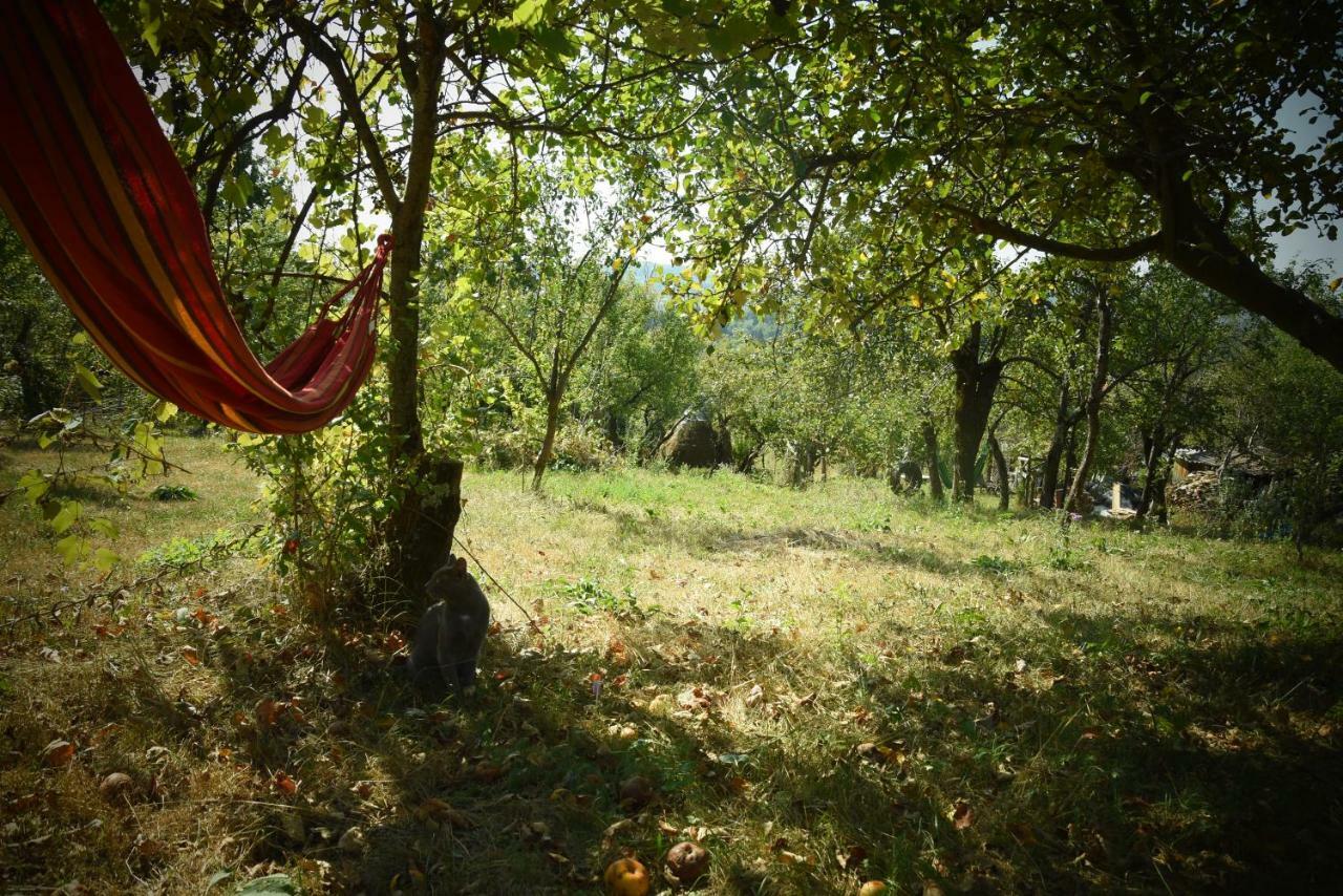 Casa Smeilor Horezu Εξωτερικό φωτογραφία