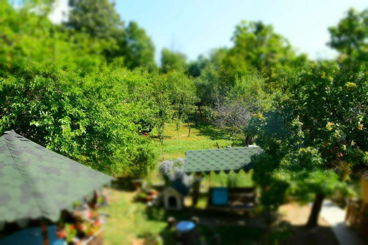 Casa Smeilor Horezu Δωμάτιο φωτογραφία